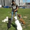 David Guajardo, Dog trainer in Terrassa