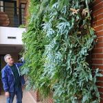 Francisco De La Torre, Gardener in Fuenlabrada
