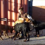 Dolores Costoya, Dog trainer in Navalcarnero