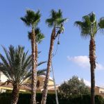 Javier Yepes, Swimming pools maintainer in Murcia