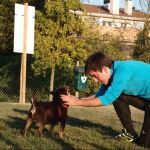 Samuel Beguiristain De Miguel, Pet sitter in Pamplona