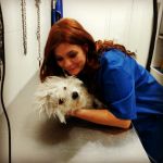 Baluani Salsera, Pet sitter in Castellón de la Plana