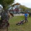 Alfonso Moran, Gardener in Albaida del Aljarafe