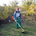 Francisco Jimenez, Gardener in Leganés