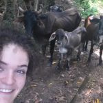 Debi Martinez, Pet sitter in Madrid