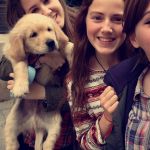 Amanda Rico Posada, Pet sitter in Gandia