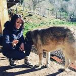 Carmen Martínez Sañudo, Pet sitter in Santander