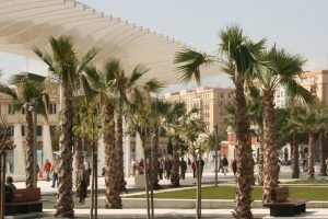palmeral de las sorpresas malaga