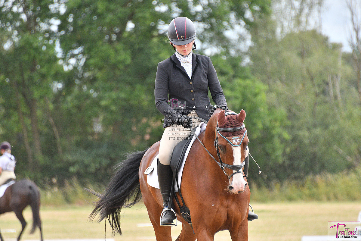 Area 6 Dressage Competition 2025