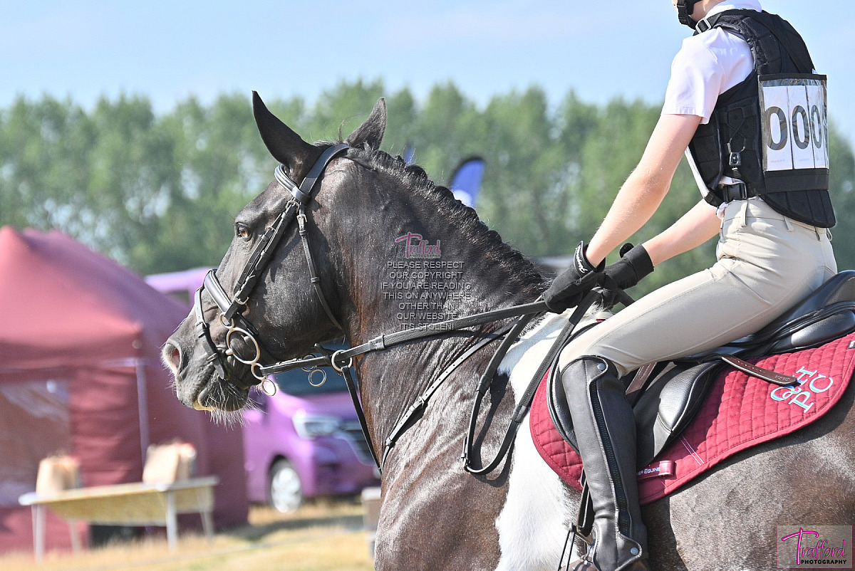 Area 6 Show Jumping 2025