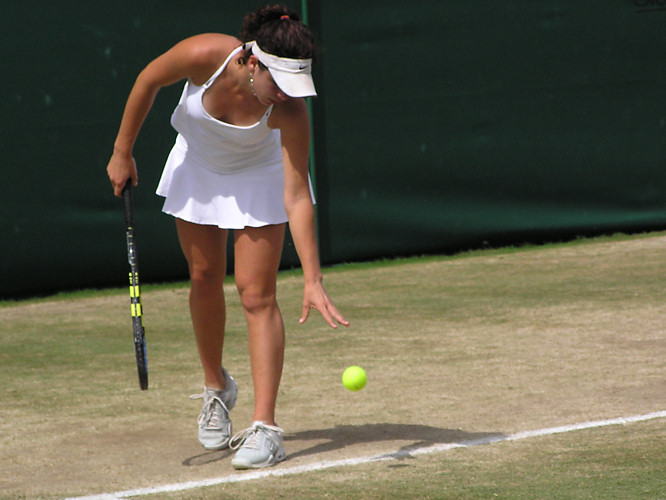 Wimbledon Lawn Tennis Championship photos