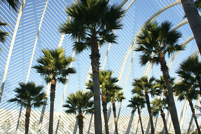 L'Umbracle