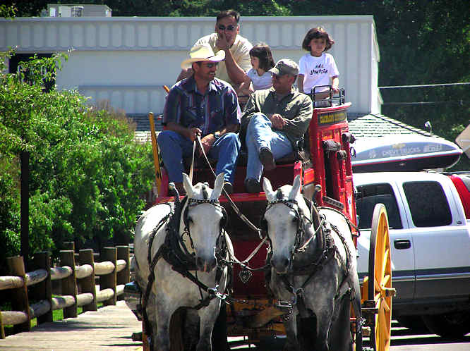 Jackson stagecoach