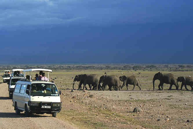 Kenya 4x4 Independent African Safari Ambosili elephants Ambosili elephants
