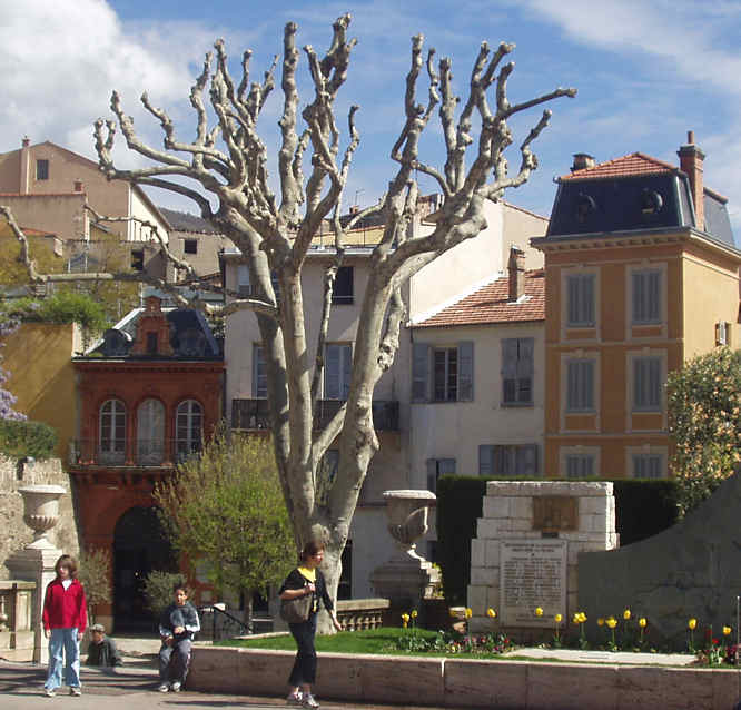 Grasse 