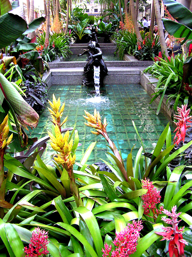 Rockerfeller Center gardens