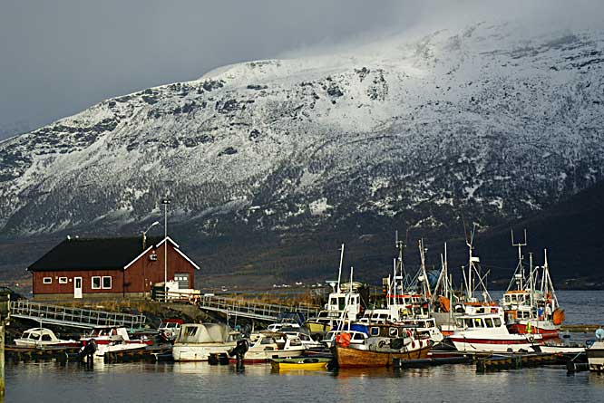 Birtvarre harbour