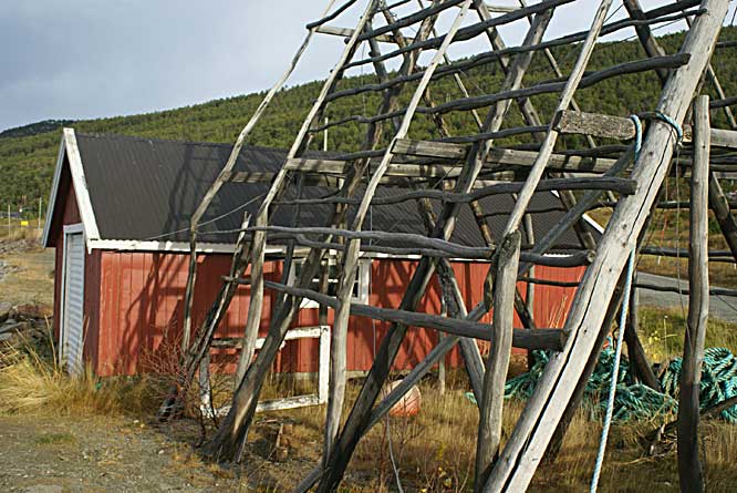 picture of fish drying racks in Norway in the Arctic Circle Tromso fish drying racks