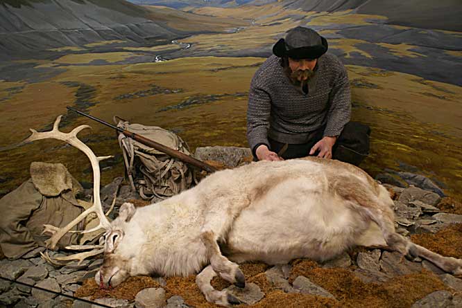Picture of tromso polar museum exhibit on the history of hunting reindeer hunting reindeer