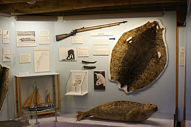 picture of an exhibit in Tromso Polar Museum about the seal hunting trade in Norway - Things to do in Tromso - Things to do in Tromso Seal Hunting