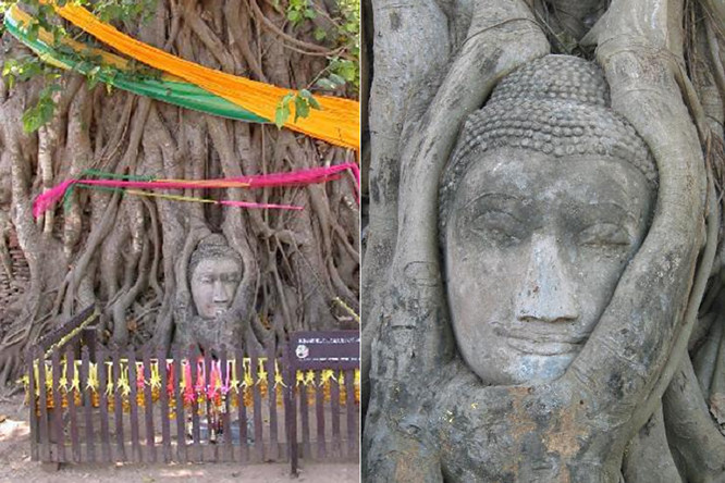 Ayutthaya 