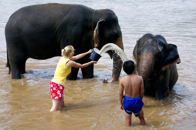 Elephant bath time is the one of the best activities you can get involved with at the Elephant Nature park near Chiang Mai in northern Thailand Elephant bath time