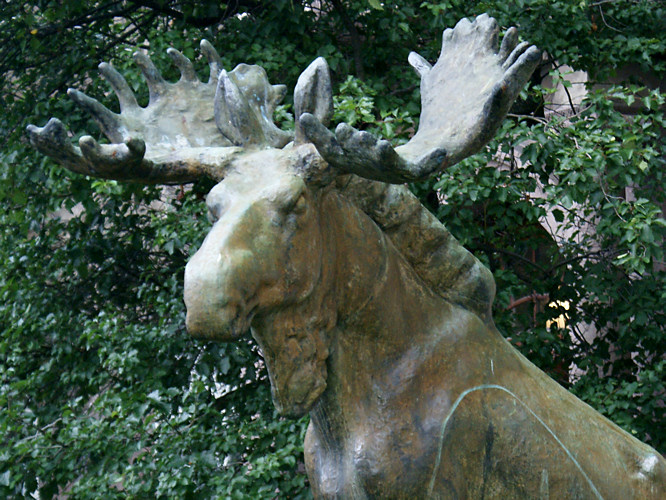 Finnish Museum of Natural History 