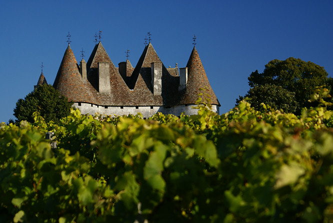 Chateau de Monbazillac vineyard Chateau de Monbazillac wines