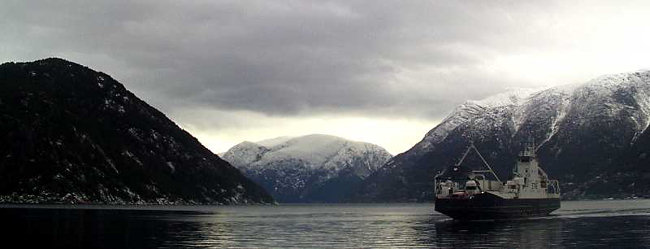 The Hardangerfjord car ferry- Bergen Day Trip in Norway The Hardangerfjord car ferry