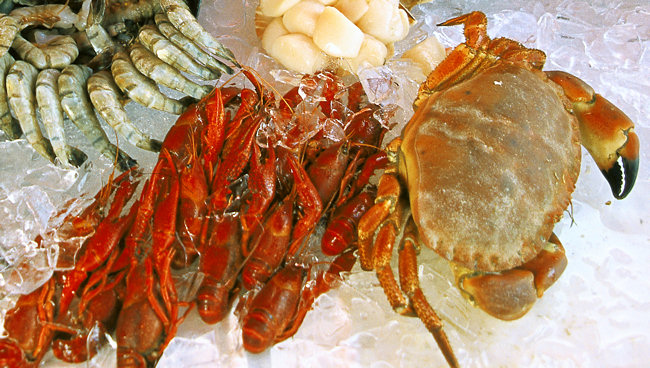 Bergen fishmarket in Norwa