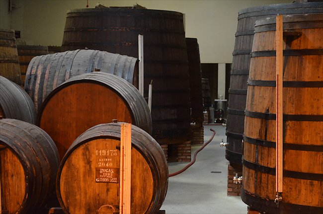 Taylors Port vineyards in Portugal