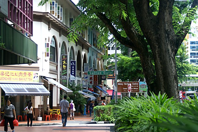 Beach Road Shops under the shade of tropical lush green trees Beach Road in the Arab Quarter Singapore