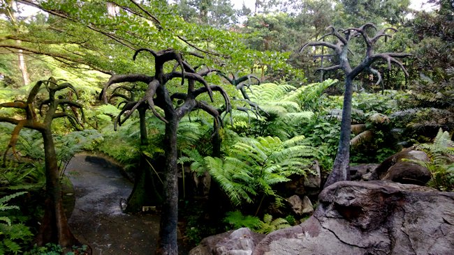 The Evolution Garden in Singapore's Botanical Garden Evolution garden