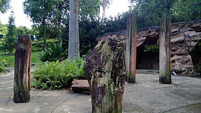 Fossilized trees in the Evolution Garden in Singapores Botanical Garden Singapore Evolution garden