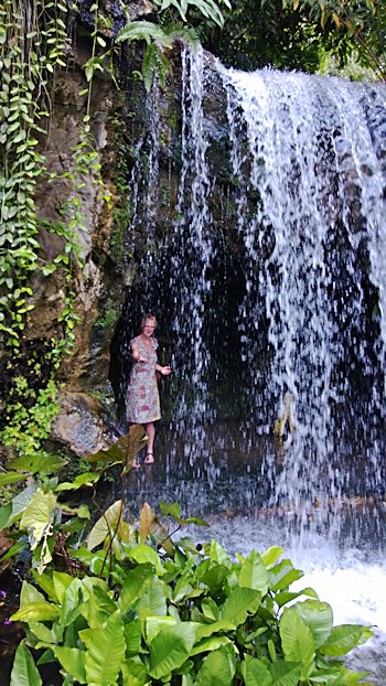 The waterall in Singapore's Botanical Gardens Singapore's Botanical Gardens
