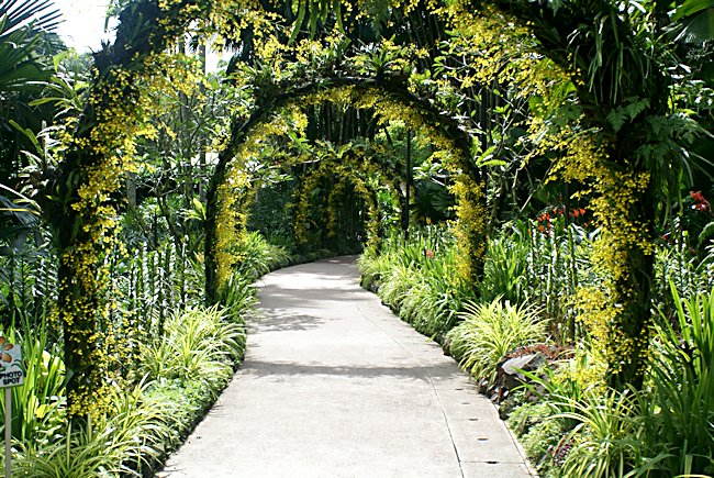 A formal archway in Singapore's Botanical Gardens Singapore's Botanical Gardens
