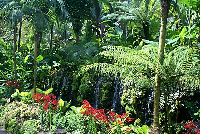 Singapore's Botanical Gardens water feature and lush tropical planting Botanical Gardens Singapore