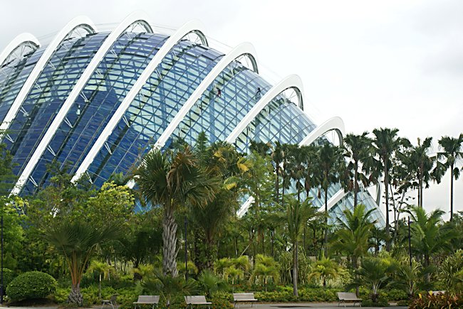 This is the cloud forest greenhouse dome in the Singapore Gardens by the bay cloud forest greenhouse