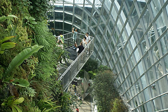 The walk ways in the mountain in the Cloud Forest dome in Singapore's Garden by the bay Mountain walkways in Cloud Forest dome