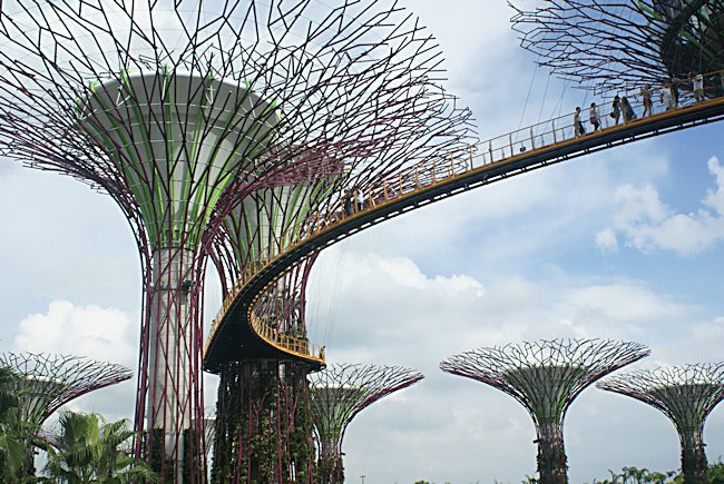 The treetop Skyway that links the Supertrees in Singapore's Gardens by the Bay treetop Skyway