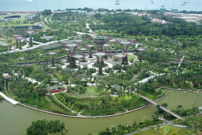 The man-made Supertrees in the Gardens by the Bay in Singapore Gardens by the Bay supertrees