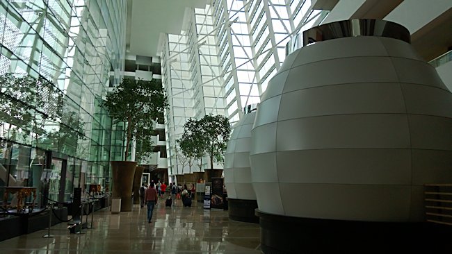 Real trees planted in giant pots inside Singapore's Marina Bay Hotel Marina Bay Sands Hotel