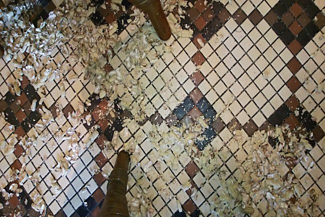 This is waht the floor of the Long Bar in Raffles Hotel looks like with the monkey nut husks on the floor nuts