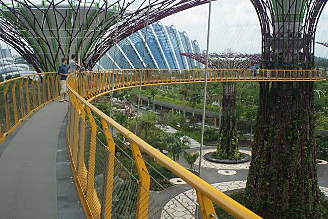 View of the domes from the Supertree grove skyway in Singapore Supertree grove Skywalk