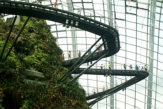 Sky Walkway in the Cloud Forest Dome in Singapore's Garden by the Bay Sky Walkway