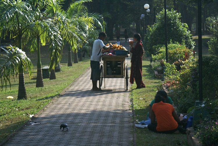  Victoria Park in Colombo