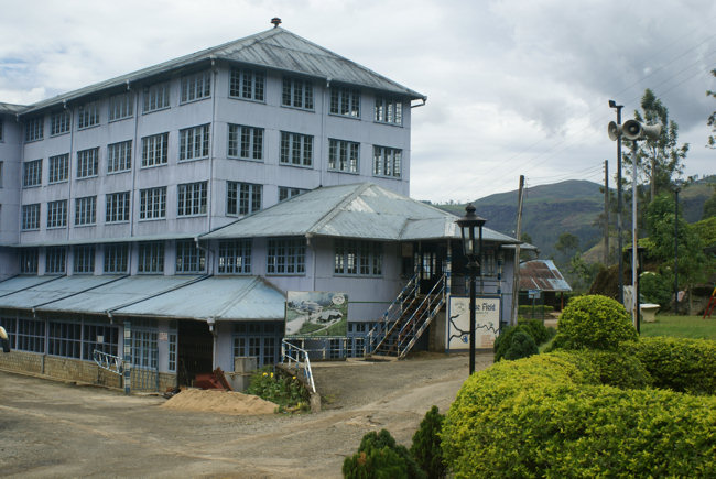 Blue Field Tea Estate Factory Blue Field Tea Estate Factory Tour
