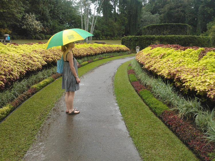 Peradeniya Royal Botanical Gardens Sri Lanka