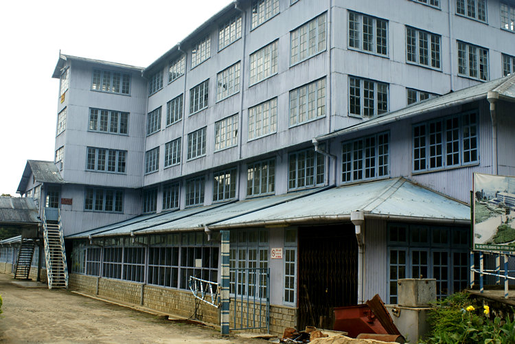 Blue Field Tea Estate Factory Blue Field Tea Estate Factory Tour