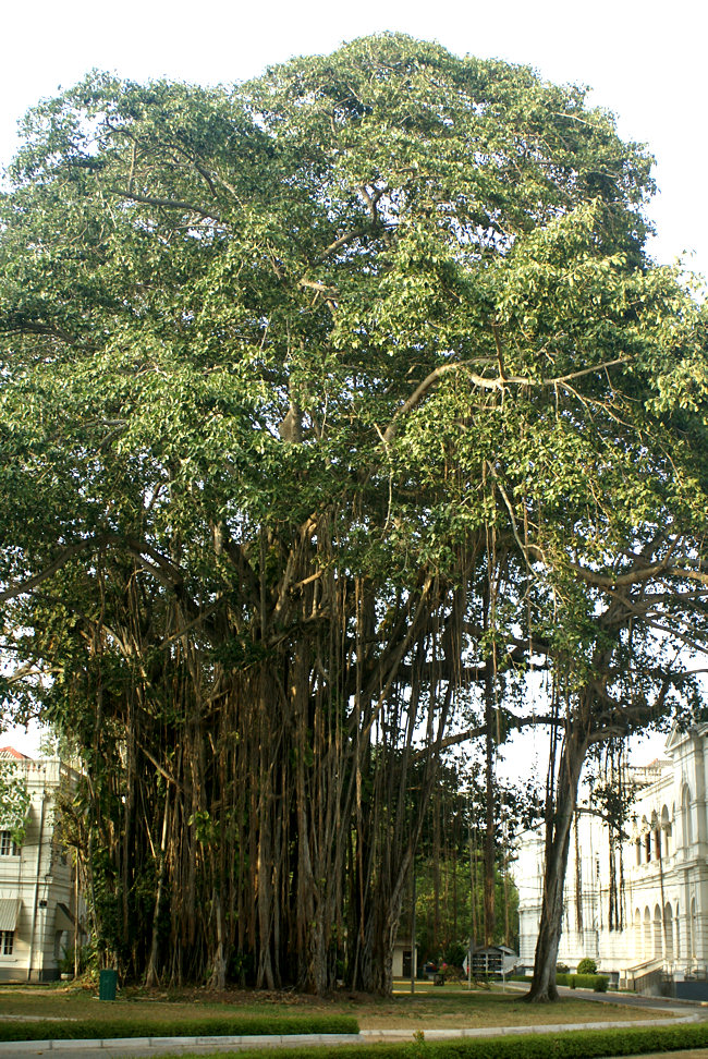 National Museum of Sri Lanka